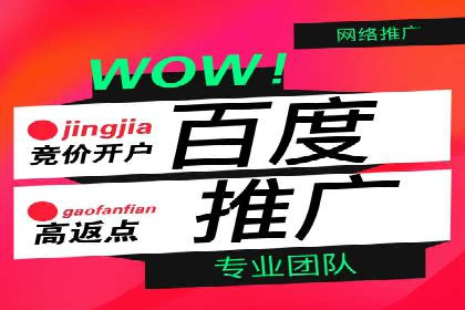SEM广告投放案例：揭秘高转化率秘诀